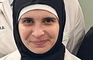 Lübnanlı profesör ABD vizesine rağmen sınır...