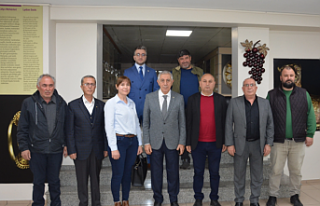Manisa Salihli'de zeytinyağına coğrafi işaret...