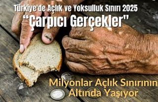 Açlık Asgari Ücreti Yedi Bitirdi: Yoksulluk 80...