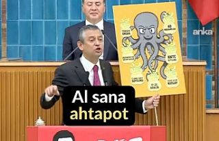 "Al Sana Ahtapot!" Ahtapot Polemiği Büyüyor:...