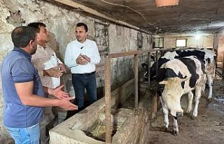Besici, “Bakanın bakma gücü yok, kurban kesecek...