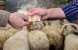 Kurbanlık Fiyatları Yüzde 25 Arttı: Bayramda 147...