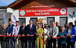 Manisa’da sokak hayvanları için hayvan yaşam...