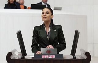 Milletvekili Özcan'dan sokak hayvanları için...