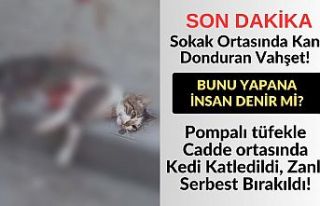 Sokak Ortasında Kan Donduran Vahşet! Pompalı tüfekle...