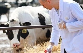 Tarımsal girdi Mart'ta yükseldi... Veteriner...
