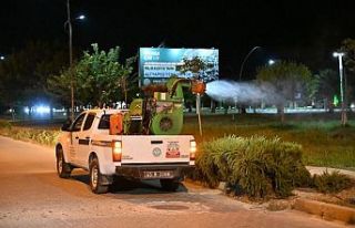 Manisa’da Haşerelere Geçit Yok: Gece Gündüz...