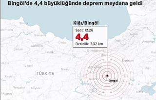 SON DAKİKA: Bingöl Yine Sallandı! Peş Peşe Depremler...