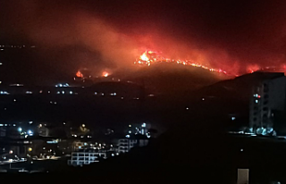 Bursa’da Orman Yangını İlçe Merkezlerine Ulaştı:...