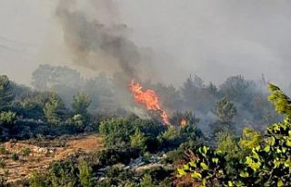 İzmir'de Orman Yangını: Alevler Bornova'dan...
