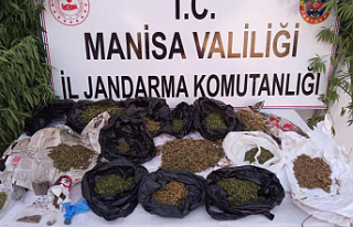 Manisa'da Uyuşturucu Operasyonu! 12 Kilo Esrar...