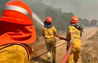 OGM: Yangınlarla mücadelede asıl güç, kara gücüdür