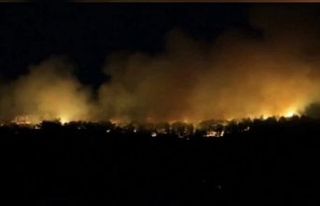 Orman'dan 22 Temmuz raporu: Müdahale edilen...