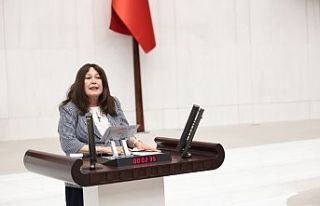 Şap Krizi Büyüyor!  Milletvekili Sunat: “Bu...