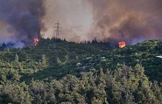 Son 15 Günde Yangınlarla İlgili 17 Kişi Tutuklandı