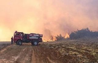 Son 1 haftada 624 orman yangını