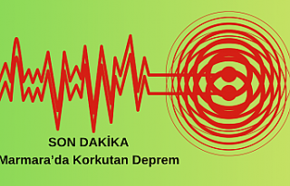 SON DAKİKA! Marmara'da Korkutan Deprem