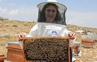 Hayallerinin peşinden koştu! Satışları 3'e...