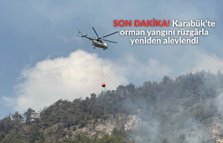 SON DAKİKA! Karabük’te orman yangını rüzgârla...