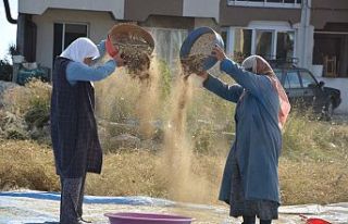 Ege’nin Yaylalarından Sofralara! Demirci Fasulyesi...