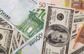 Reelde Dolar ve Euro Kaybettirdi, Altın Uzun Vadede...