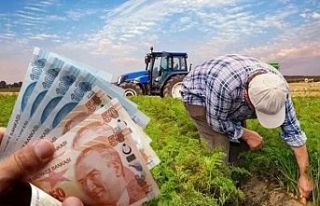 Çiftçiye 471 Milyon TL Destek Ödemesi Başladı