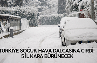 Türkiye Soğuk Hava Dalgasına Girdi! 5 İl Kara...