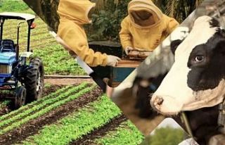 Çiftçilere 1,5 Milyar Liralık Destek Müjdesi
