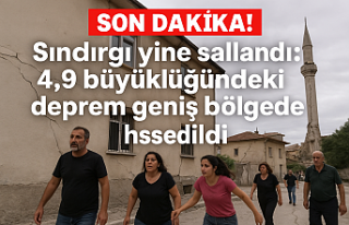Sındırgı yine sallandı: 4.9 büyüklüğündeki...