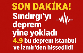 SON DAKİKA! Sındırgı'yı deprem yine yokladı...