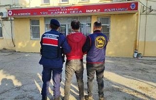 Alaşehir’de Silahlı Gasp Zanlısı Jandarmadan...