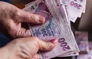 Aralık Ayı Yaşlı ve Engelli Aylıkları Hesaplara...