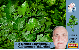 Bir Demet Maydanozun Önlenemez Yükselişi / Ahmet...