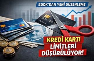 BDDK’dan Kredi Kartı Limitlerine Gelire Endeksli...