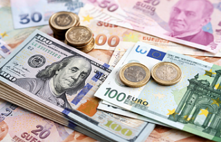 Döviz Kurları Haftaya Yükselişle Başladı: Dolar...