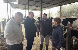 Manisalı Besiciler Süt Fiyatlarına Tepkili: “Bu...