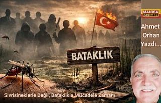 Sivrisineklerle Değil, Bataklıkla Mücadele Zamanı...