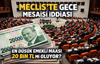 SON DAKİKA! En Düşük Emekli Maaşı Düzenlemesinde...