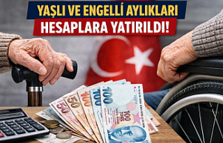 Şubat Ayı Yaşlı ve Engelli Aylıkları Hesaplara...