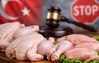 Tavuk Piyasasına Müdahale Geldi: Fiyatlar Yükseldi,...