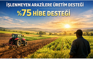 İşlenmeyen Arazilere Üretim Desteği: Yatırım...