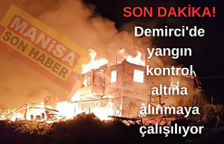 SON DAKİKA! Demirci'de yangın kontrol altına...
