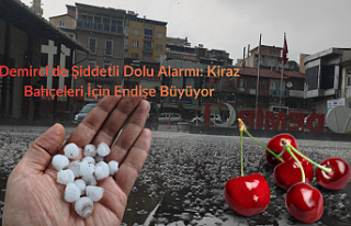 Demirci’de Şiddetli Dolu Alarmı: Kiraz Bahçeleri...