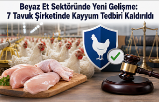 Beyaz Et Sektöründe Yeni Gelişme: 7 Tavuk Şirketinde...