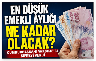 En Düşük Emekli Maaşında Kritik Süreç Başladı:...