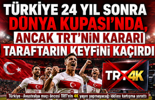 Türkiye 24 Yıl Sonra Dünya Kupası'nda, Ancak...