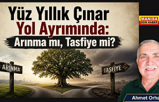 Yüz Yıllık Çınar Yol Ayrımında: Arınma mı,...
