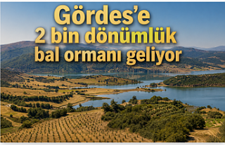 Gördes'e 2 bin dönümlük bal ormanı geliyor