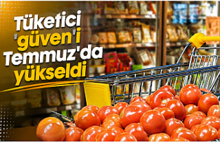 Tüketici 'güven'i Temmuz'da yükseldi