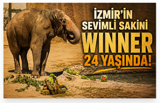 İzmir’in Sevimli Sakini Winner 24 Yaşında: 6...